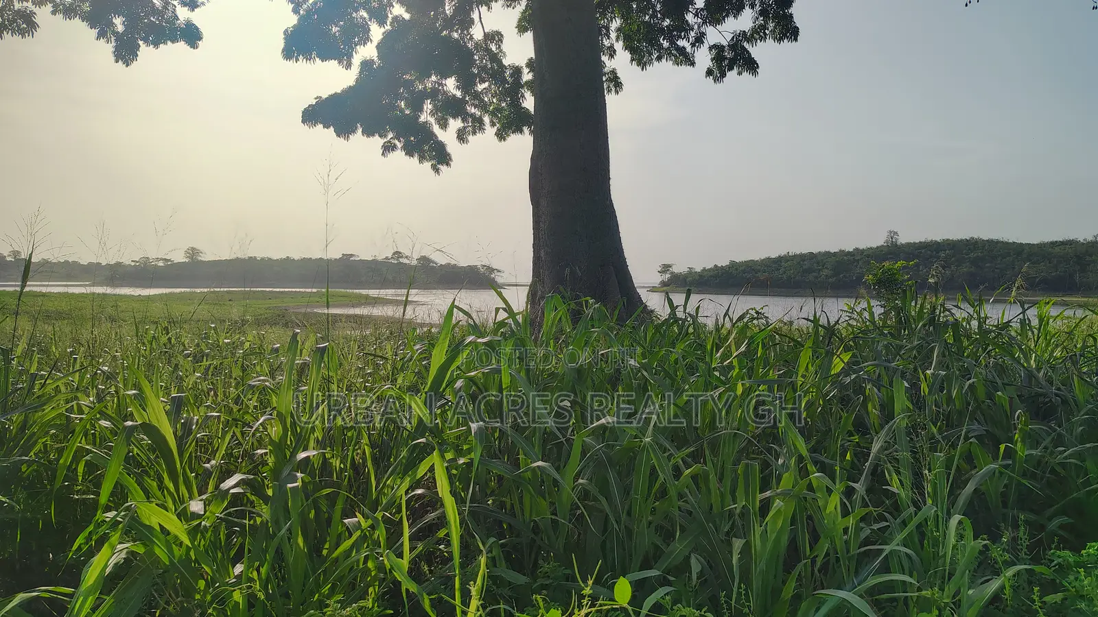 Volta Region, Tongor (Kaira) _ 10 Acres Riverfront Farmland