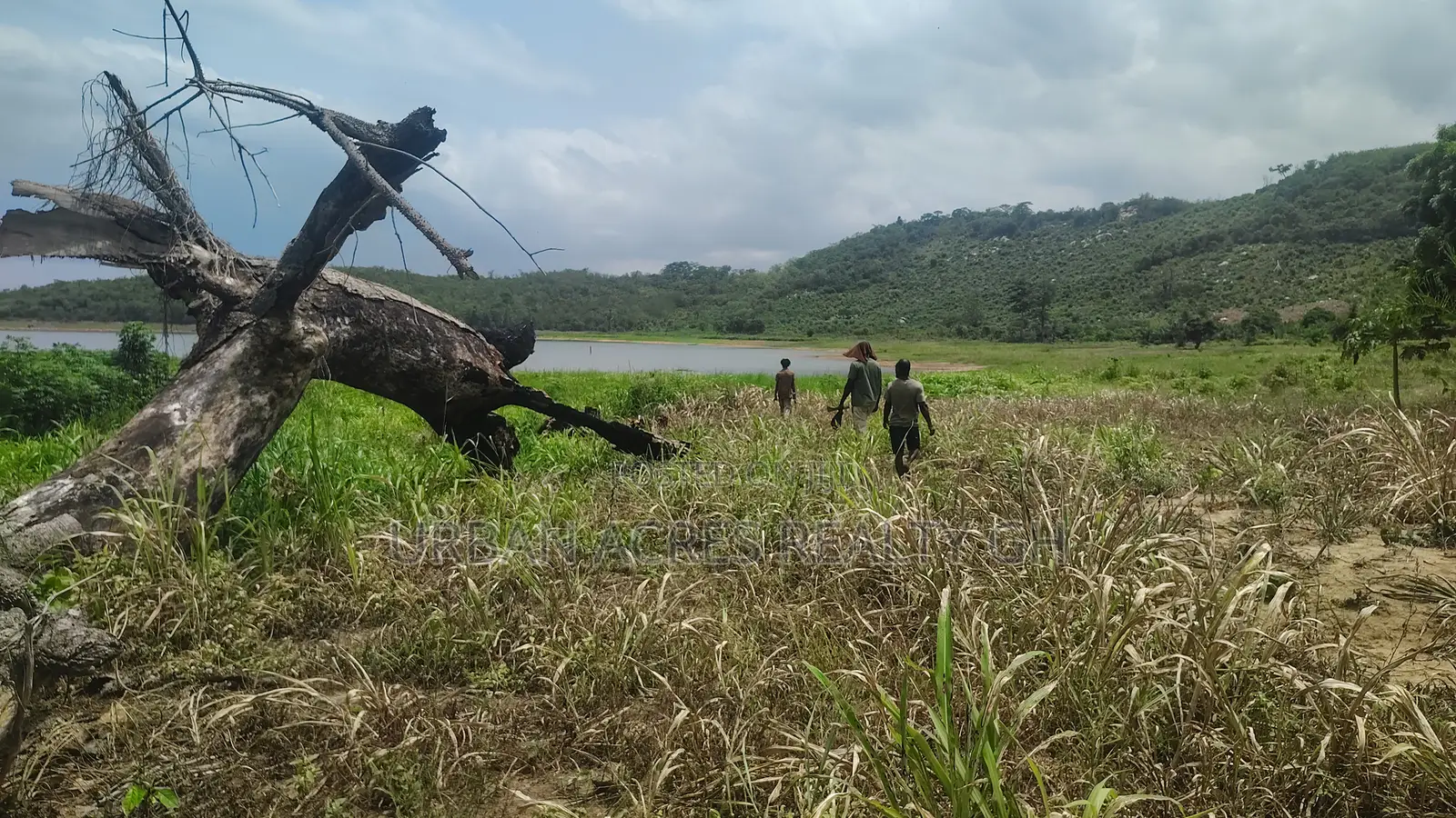 Volta Region, Tongor (Kaira) _ 10 Acres Riverfront Farmland