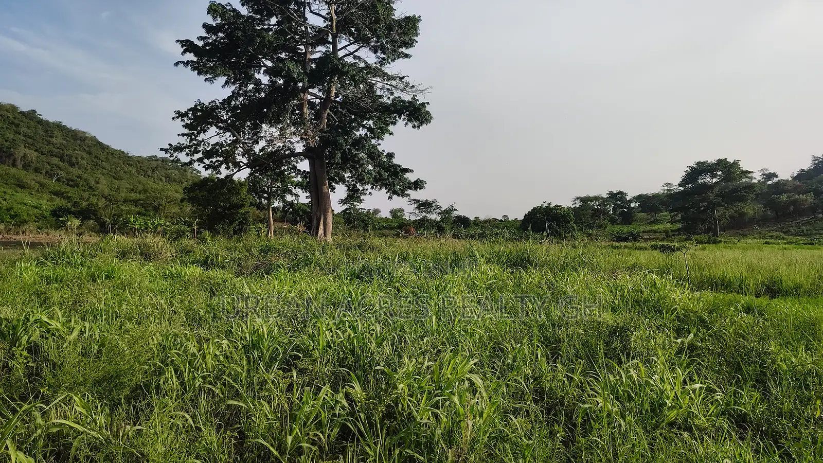 Volta Region, Tongor (Kaira) _ 10 Acres Riverfront Farmland