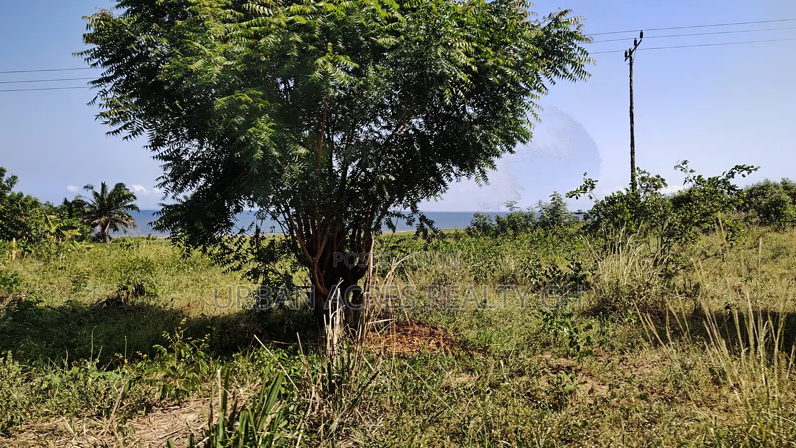 Volta Regn, Tongor (Dzemeni) _ 400 Acres Irrigable Farmland