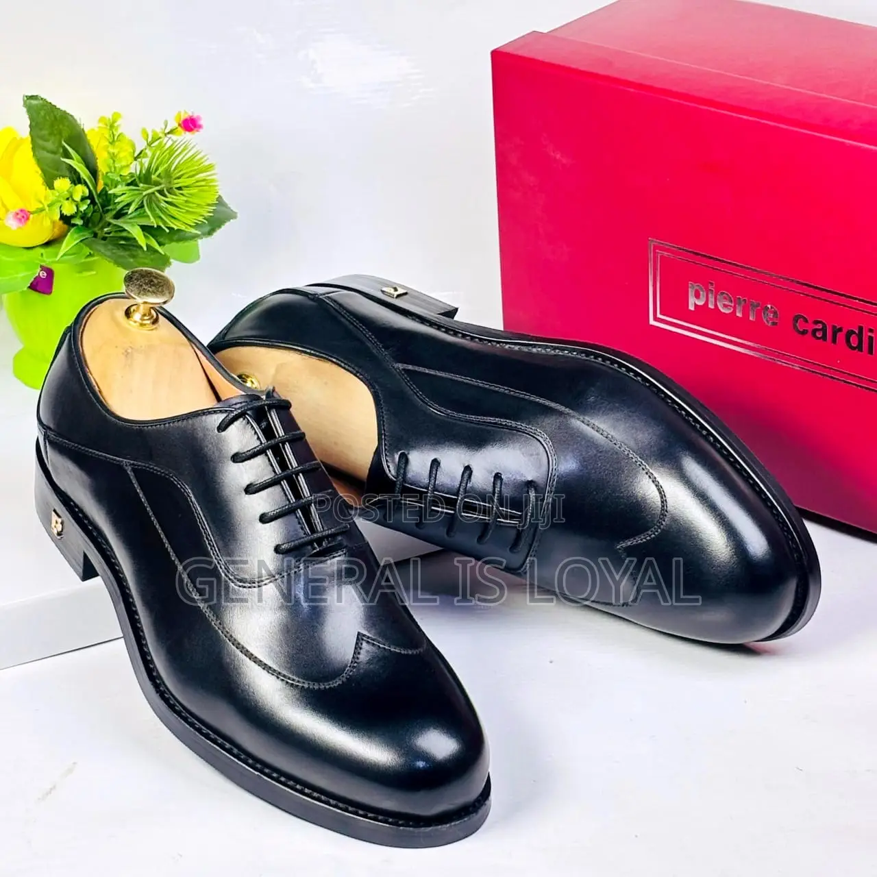 Pierre Cardin Bold Black Leather Men’S Shoes