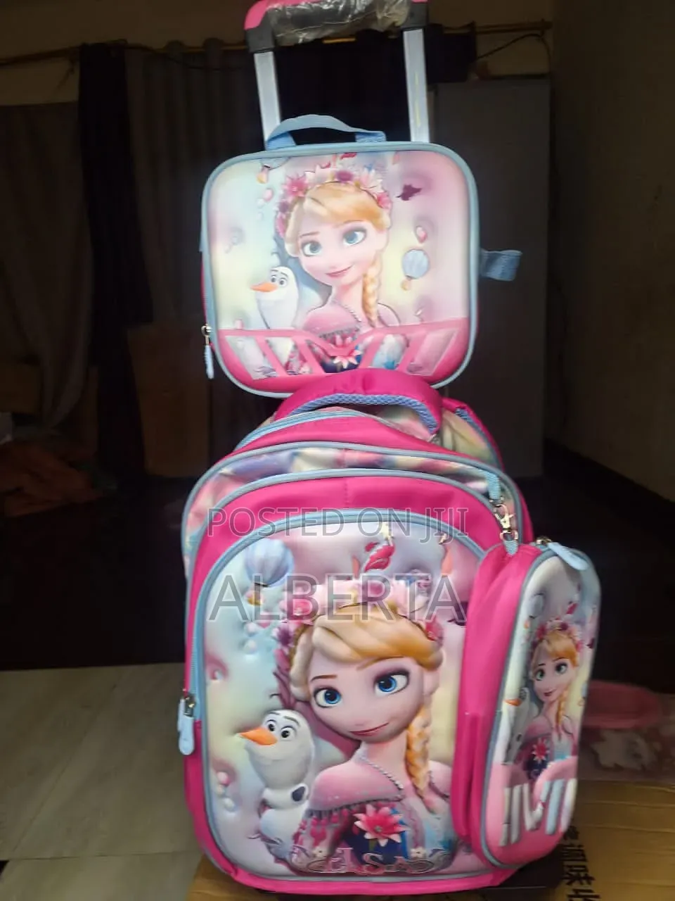Trolley/Backpacks 3 in 1 Bag