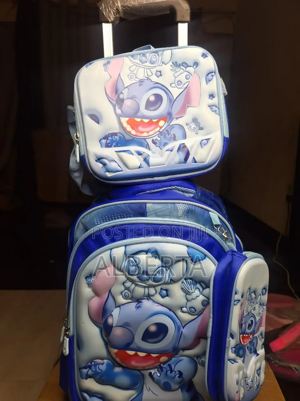 Trolley/Backpacks 3 in 1 Bag