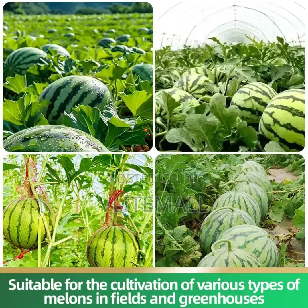 Watermelon Special Fertilizers