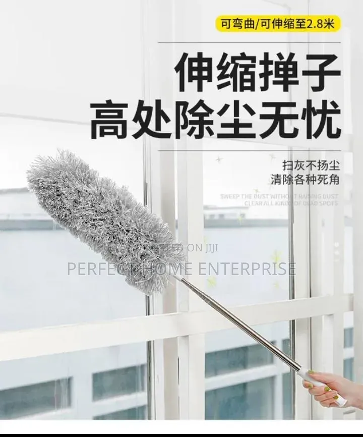 Cobwebs Remover