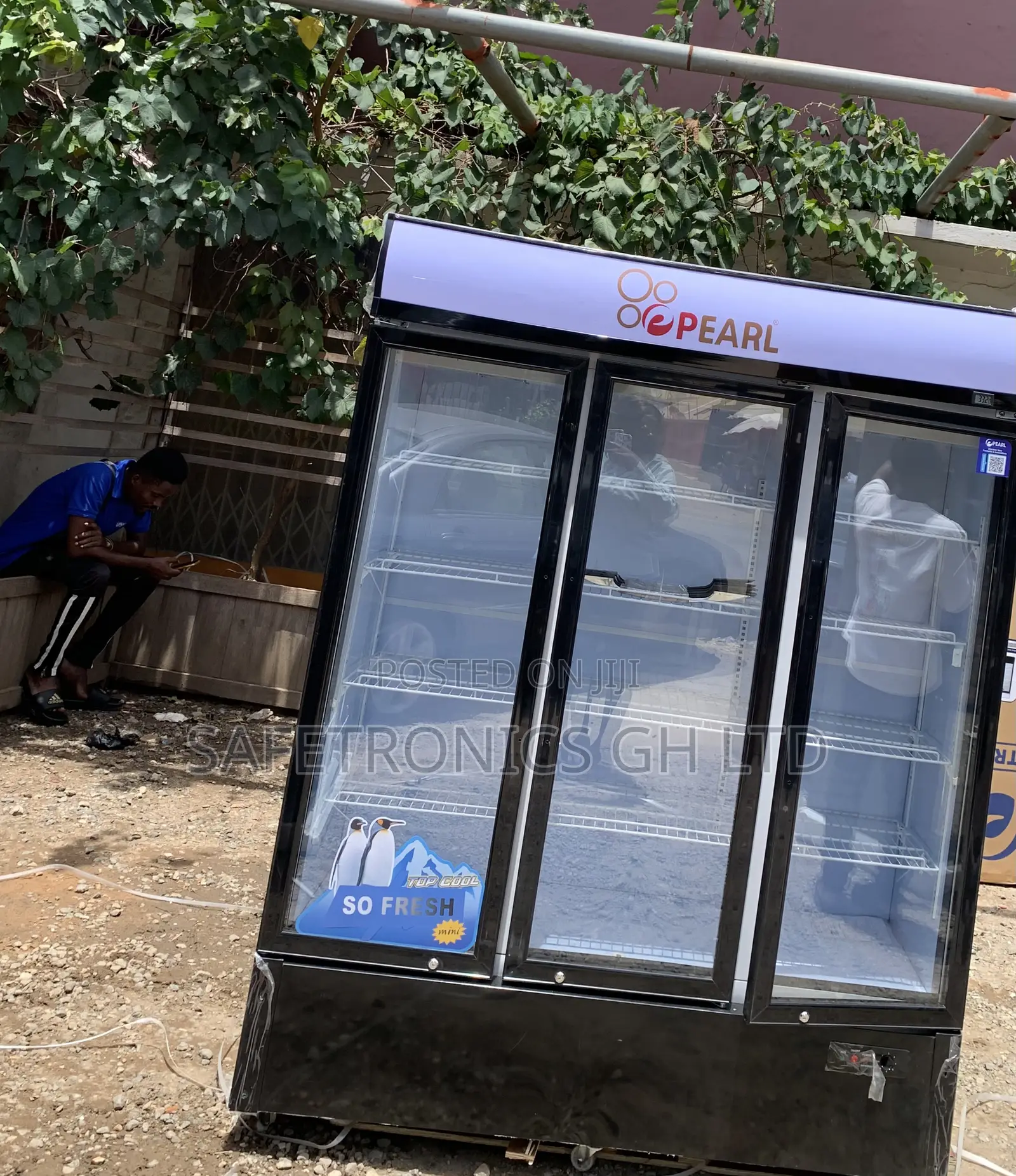 Purchase Pearl PVC-150 950l Commercial 3-Door Glass Display/Beverage