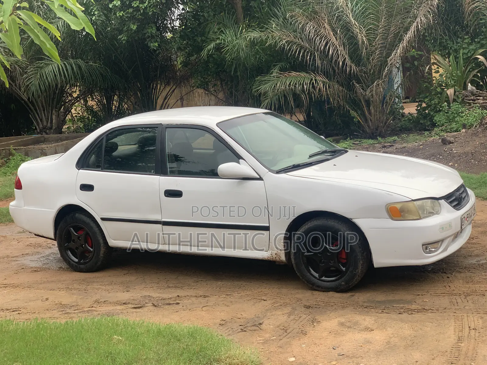 Toyota Corolla 2002 White