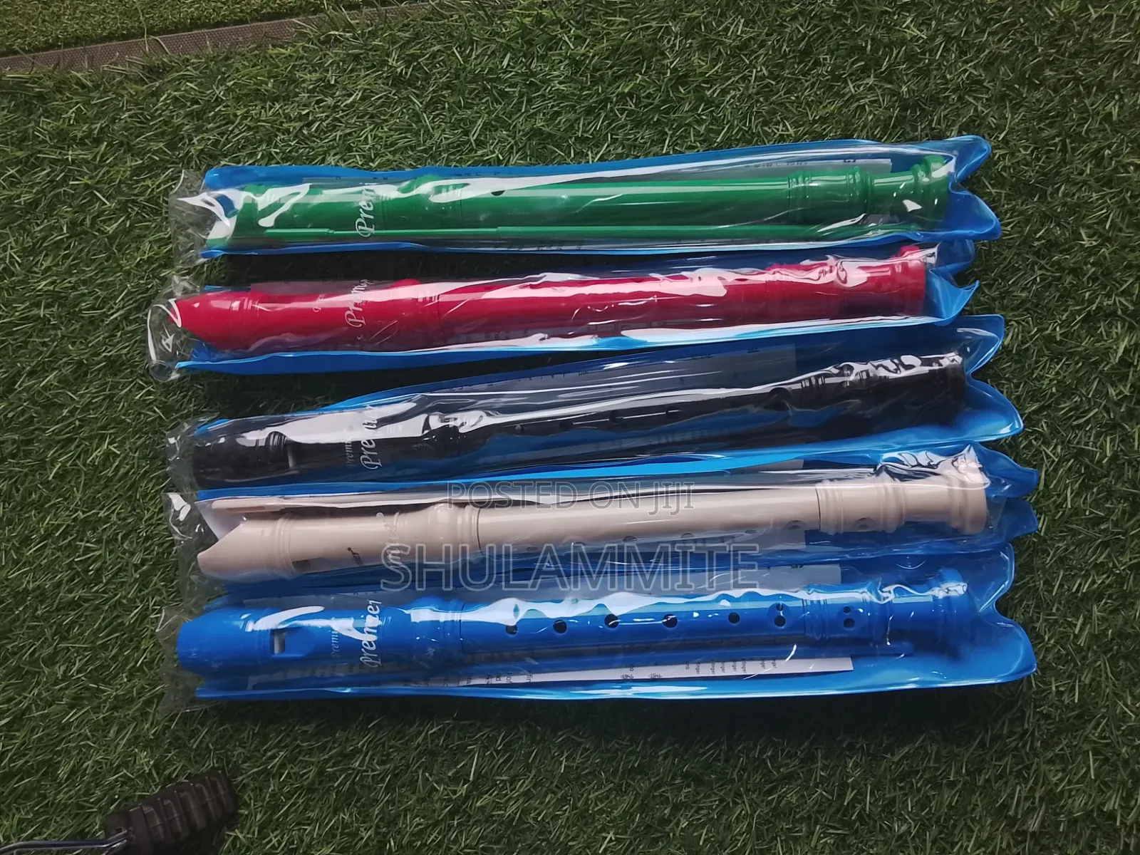 Recorder( Flute)