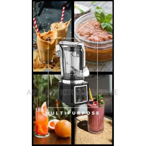 Hoffmann Commercial Silent Blender