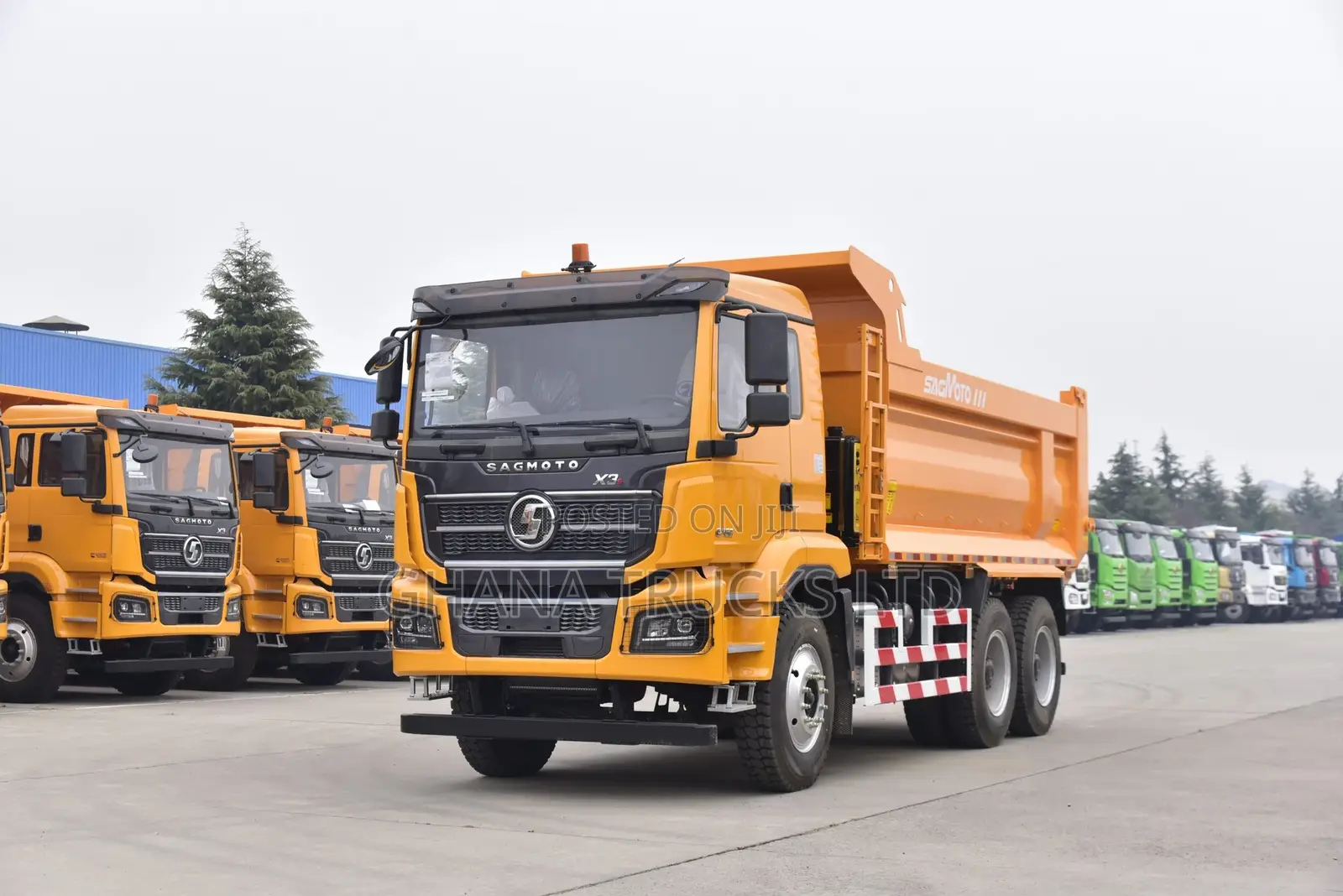 Shacman Trucks for Sale (Affordable)