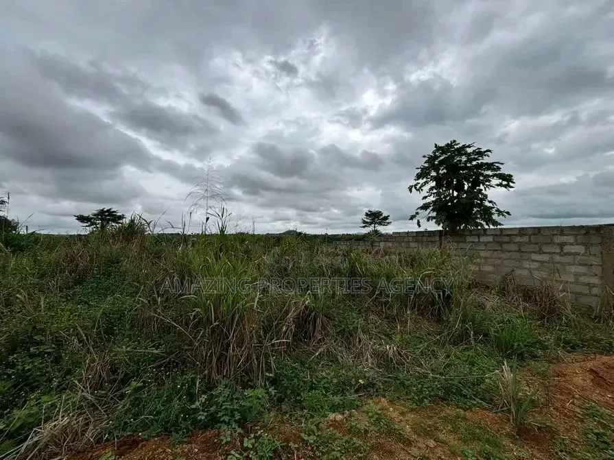 For Sale 5000 Acres Opposite Dawa Industrial Zone