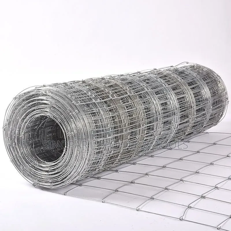 Galvanized Welded Wire Fence Mesh 3mm for Farm Poultry and Livestock
