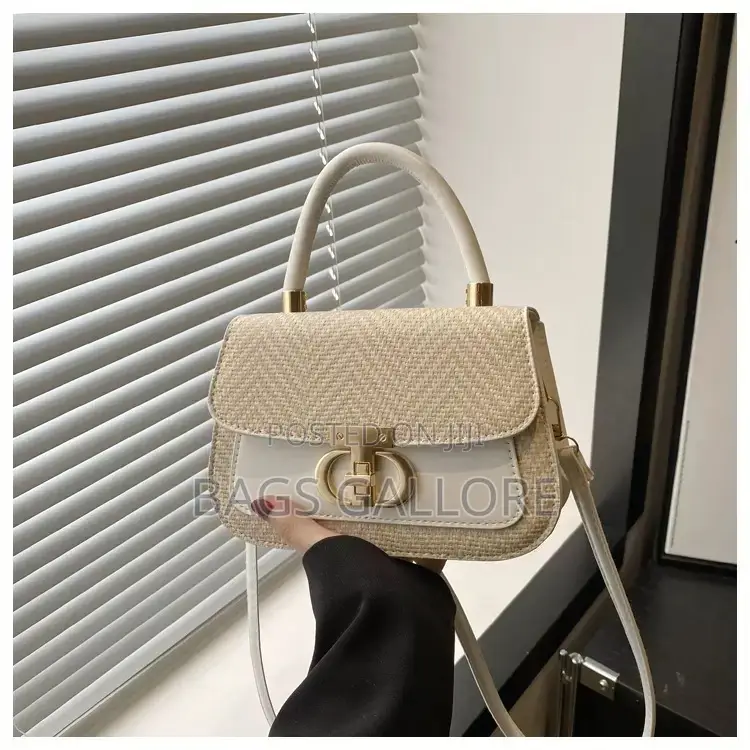 Handy Bag Female