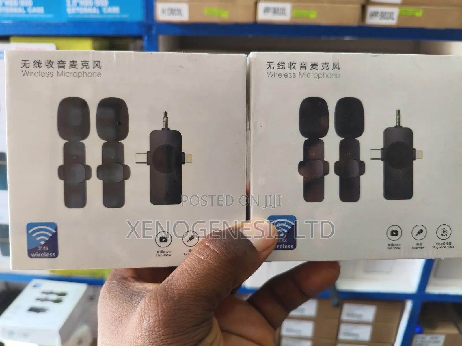Double Wireless Microphone