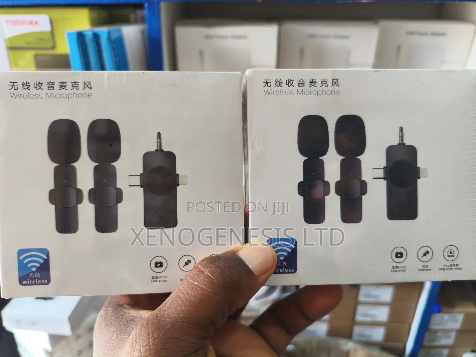 Double Wireless Microphone