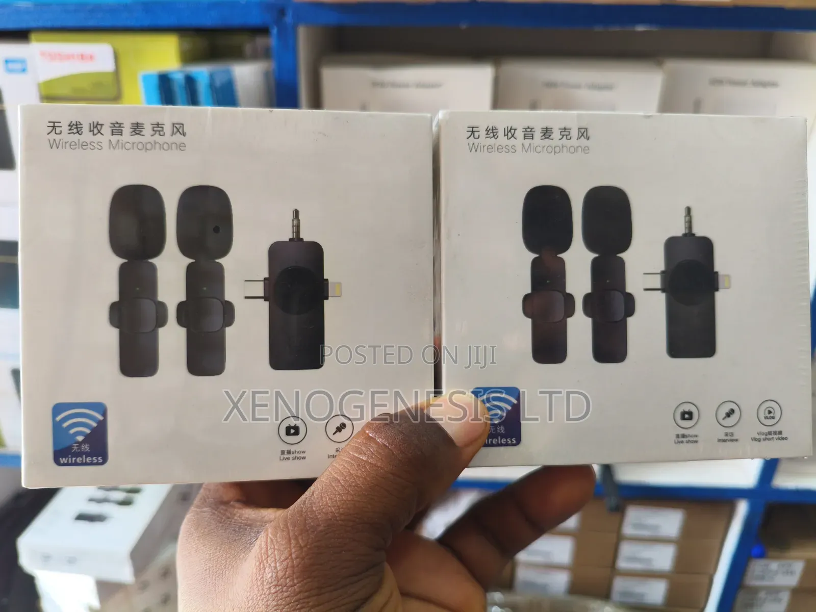 Double Wireless Microphone
