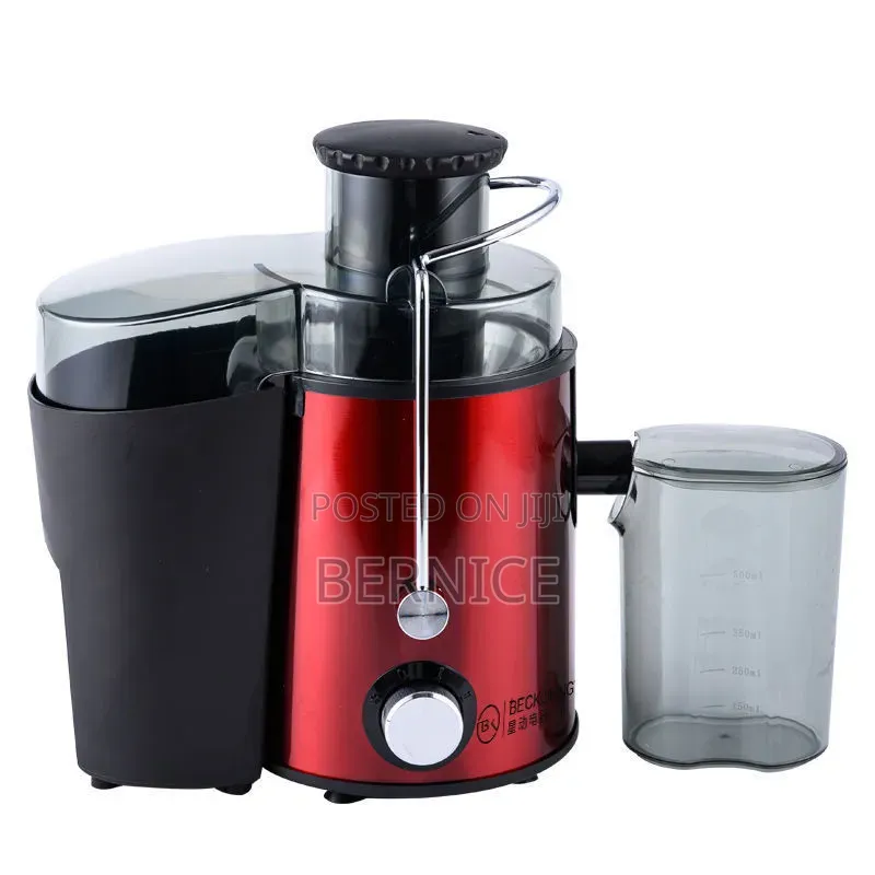 Fruit Juicer