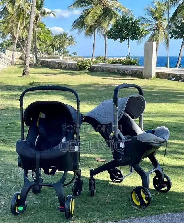 2-in-1 Car Seat Stroller