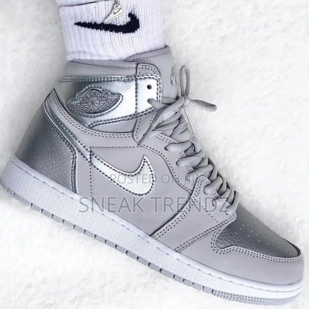 Air Jordan Retro 1 Silver Grey