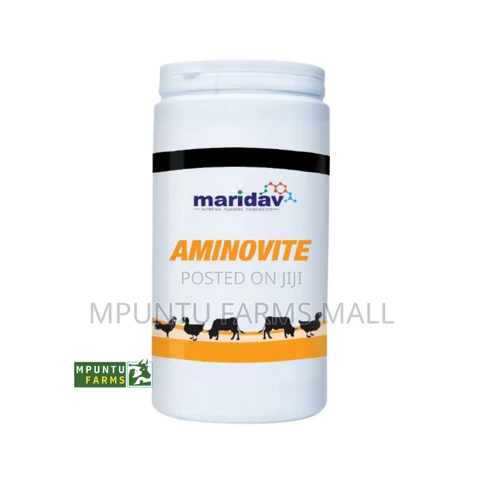Aminovite- (Pure Multivitamins With Amino Acids )