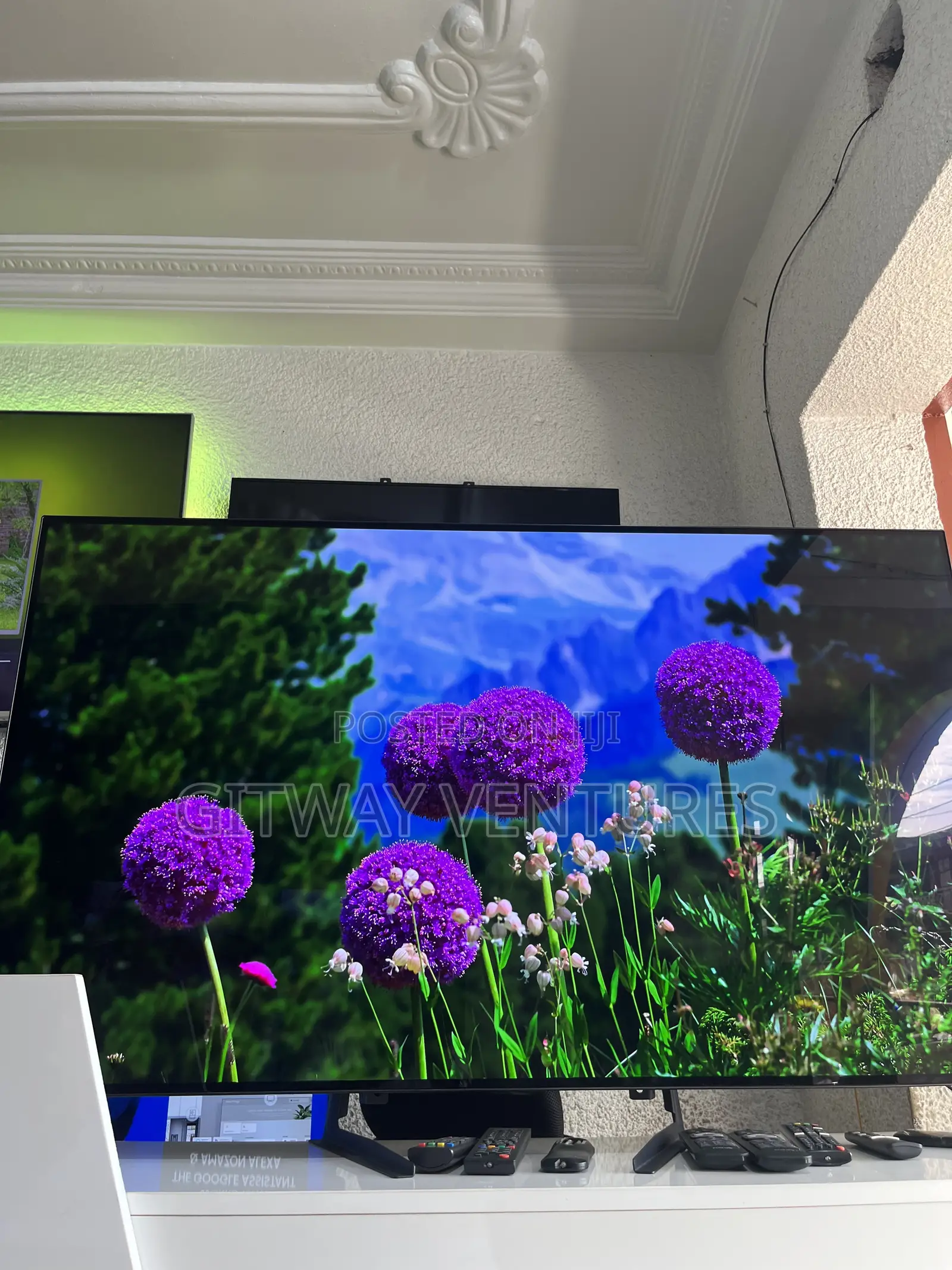 Lg Oled 55bx