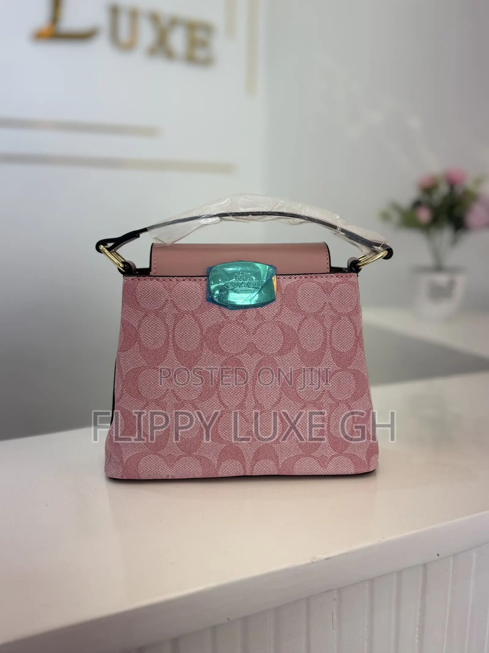 Coach Mini Bag