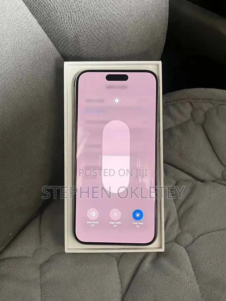 Apple iPhone 15 Pro Max 256 GB Silver