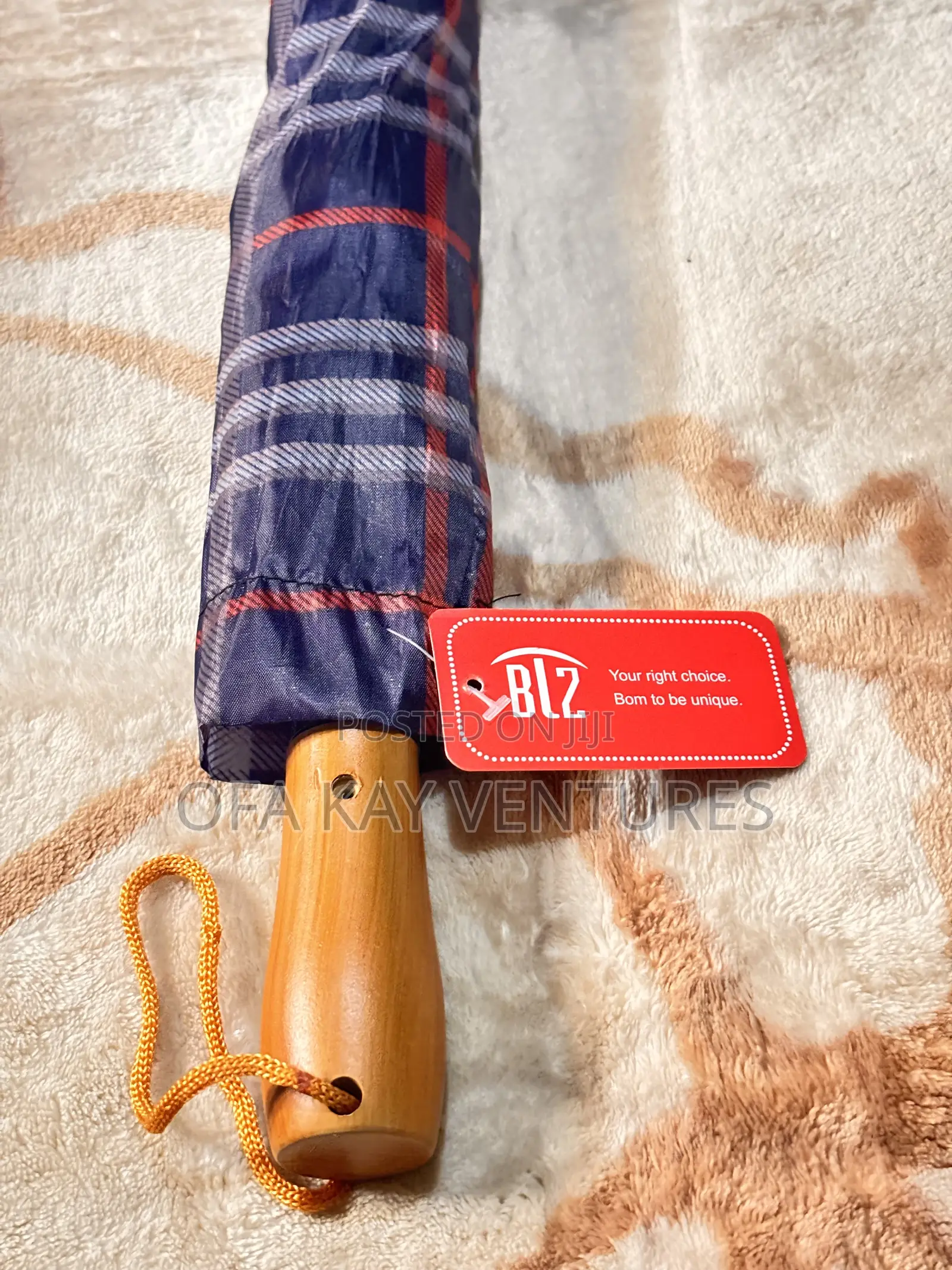 Silk Umbrellas