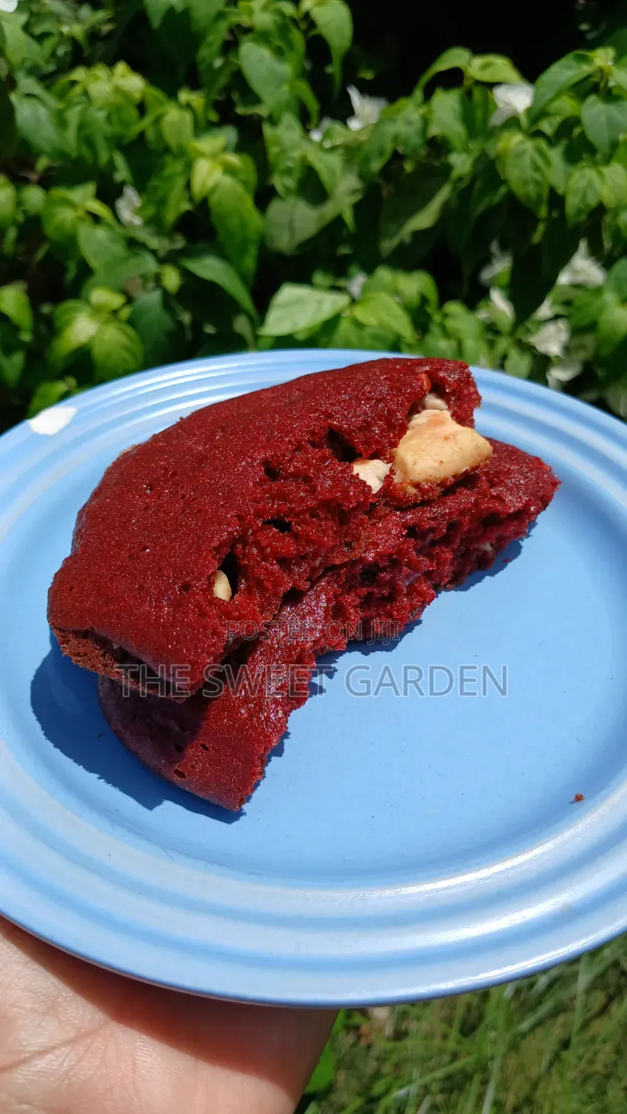 Gooey Red Velvet Chocolate Chip Cookies