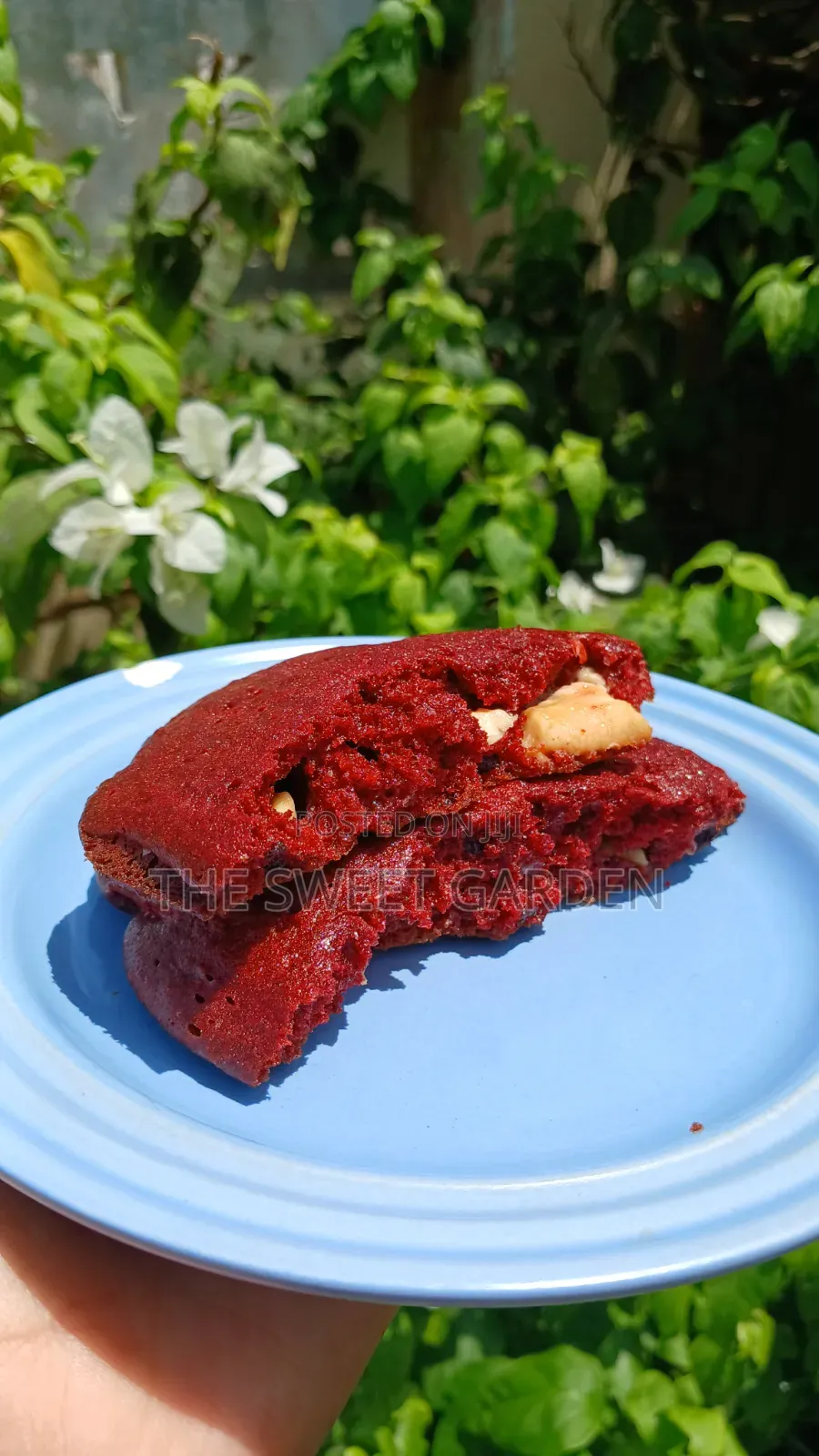 Gooey Red Velvet Chocolate Chip Cookies