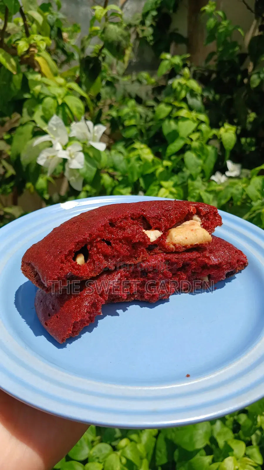 Gooey Red Velvet Chocolate Chip Cookies