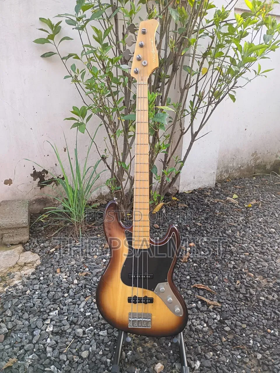 Neo Classicism Dame 4strings Bass Professional Guitar 8