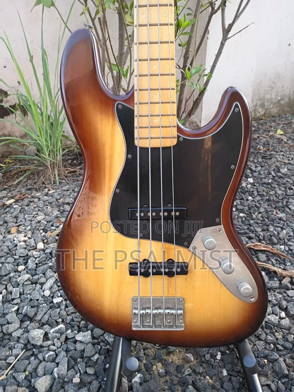 Neo Classicism Dame 4strings Bass Professional Guitar 8