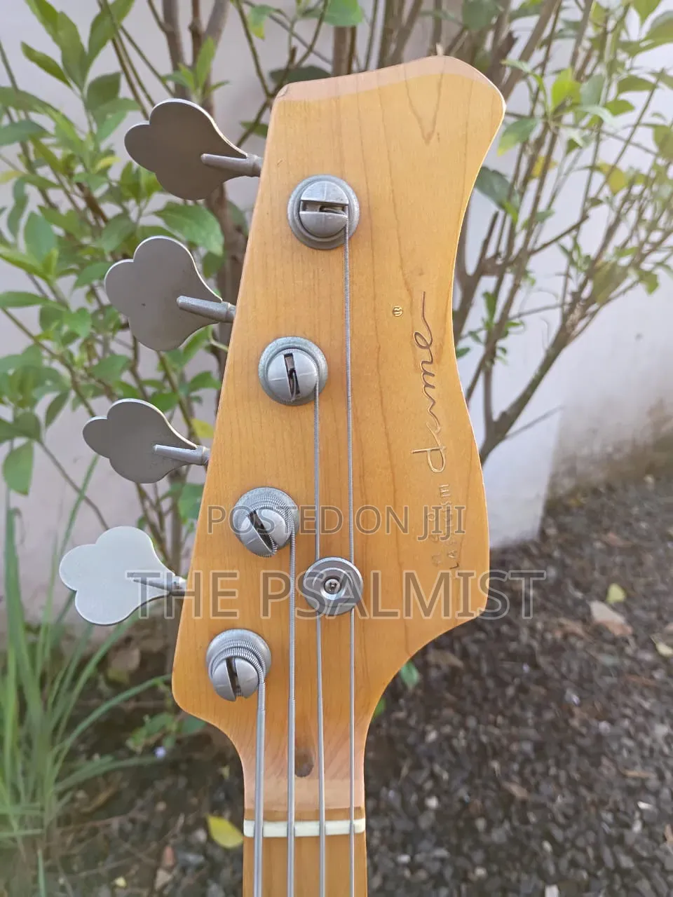 Neo Classicism Dame 4strings Bass Professional Guitar 8
