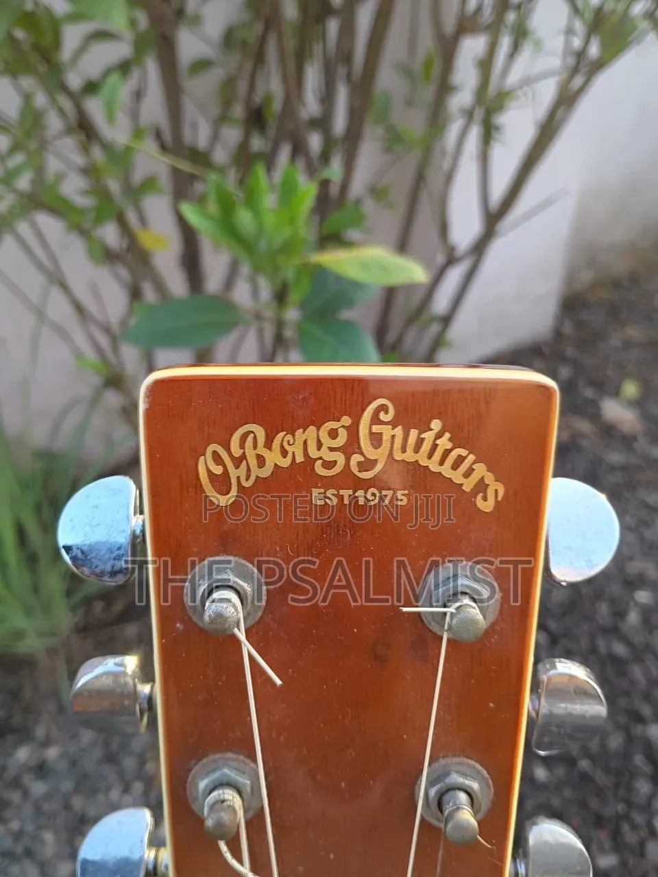 Obong Acoustic Guitars Est.1975