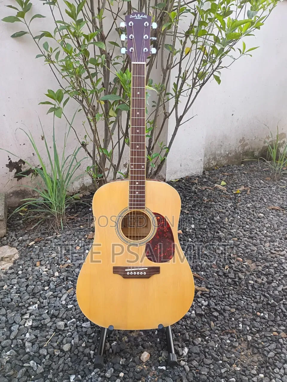Carlo Robelli Crw410n Est 1932.New York Acoustic Guitar