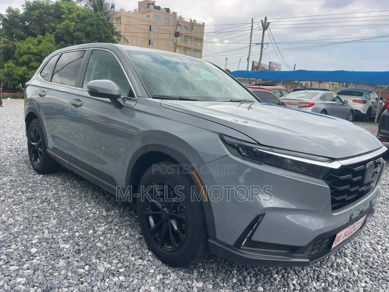 Honda CR-V EX-L AWD 2024 Beige