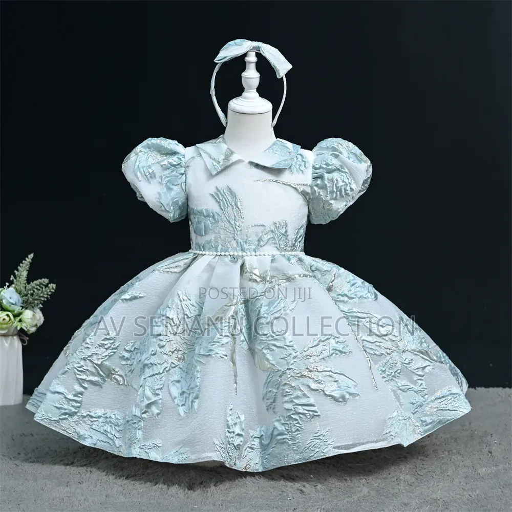 Girls Beautiful Occasion Dress