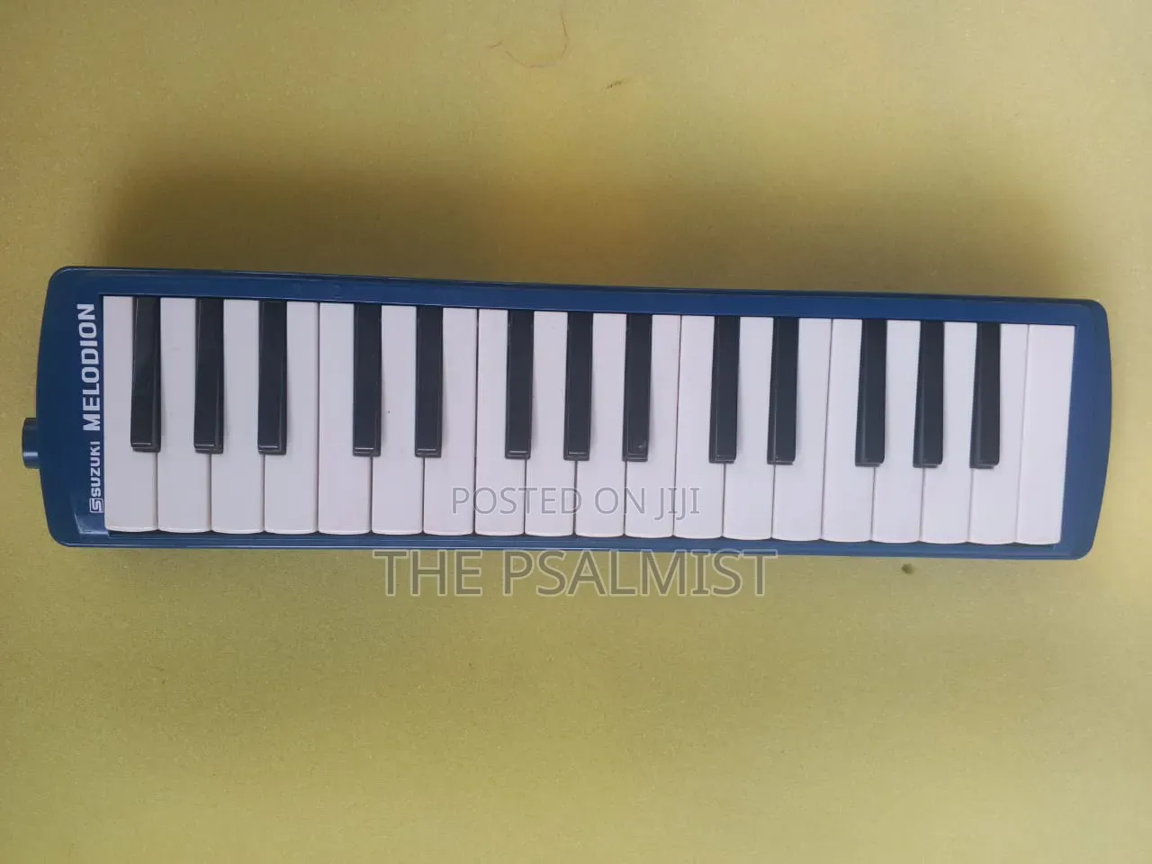 Suzuki Melodia Professional Brand