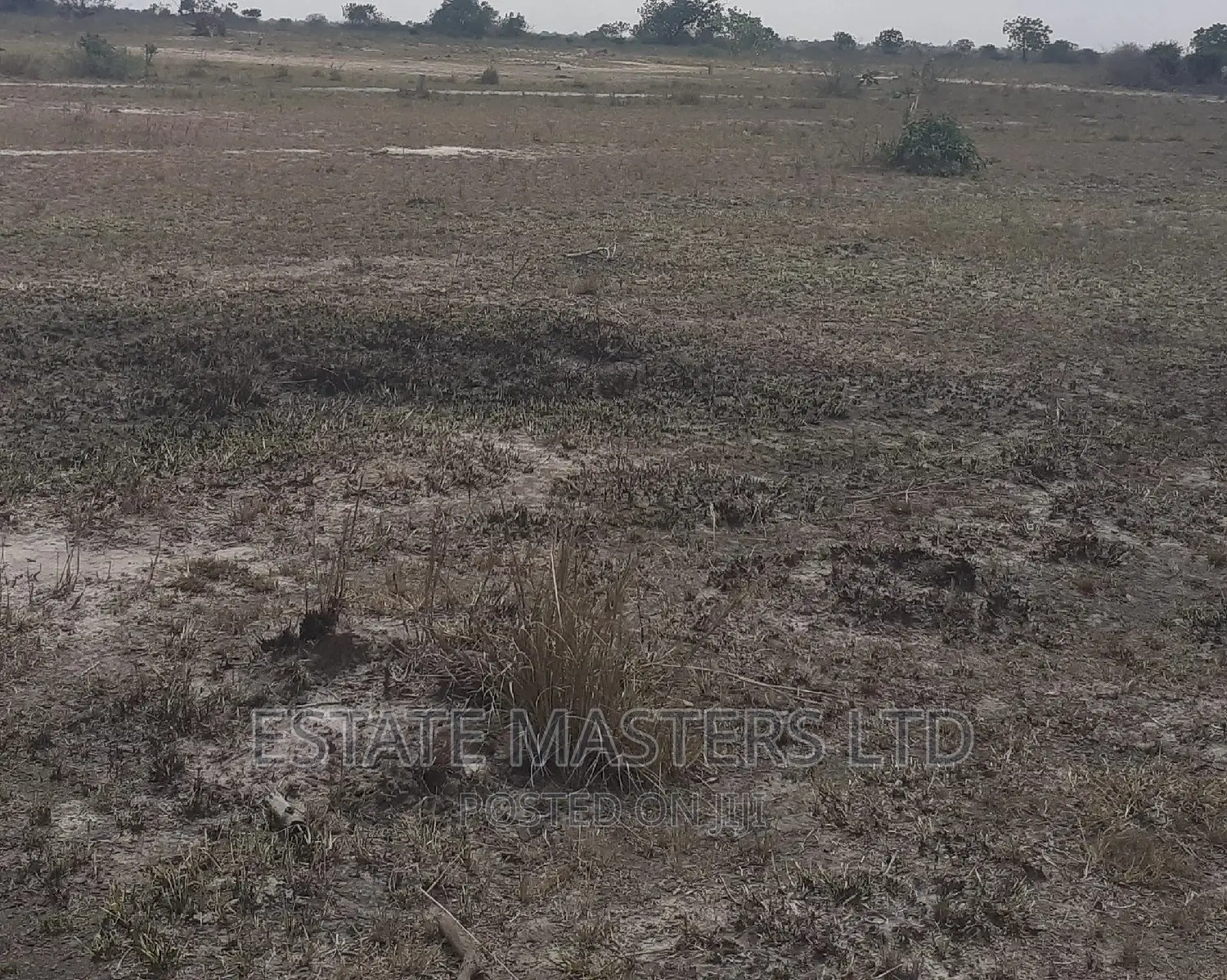 Promo on Registered Estate Plots