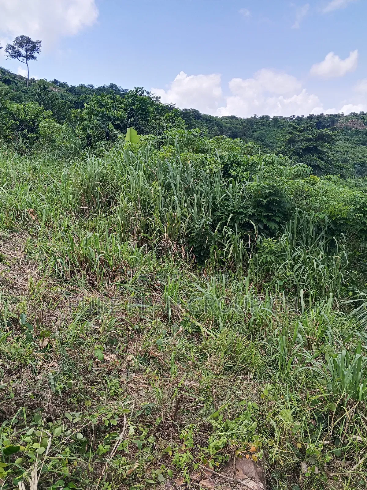 Land for Sale at Pokuase Adusah