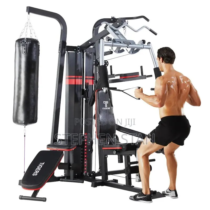 Tiger 4-Station Multi-Function Home Gym Machine With Punching Bag
