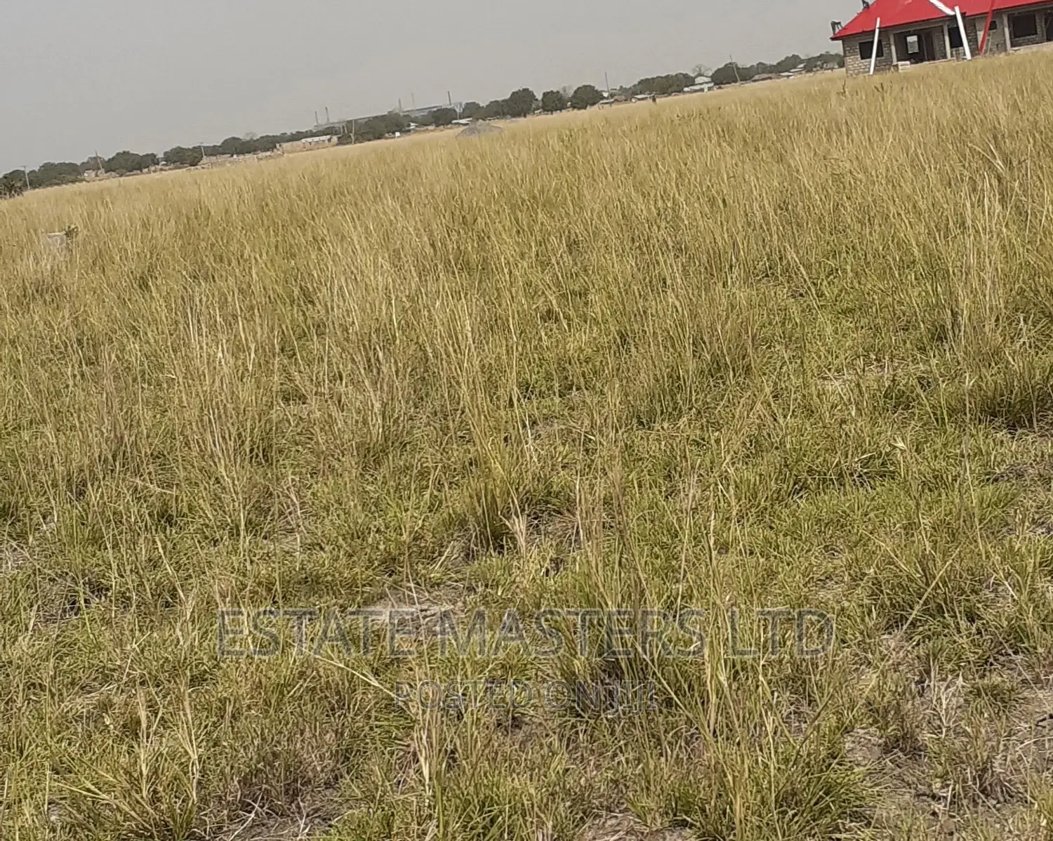 Problem Free Land on Promo
