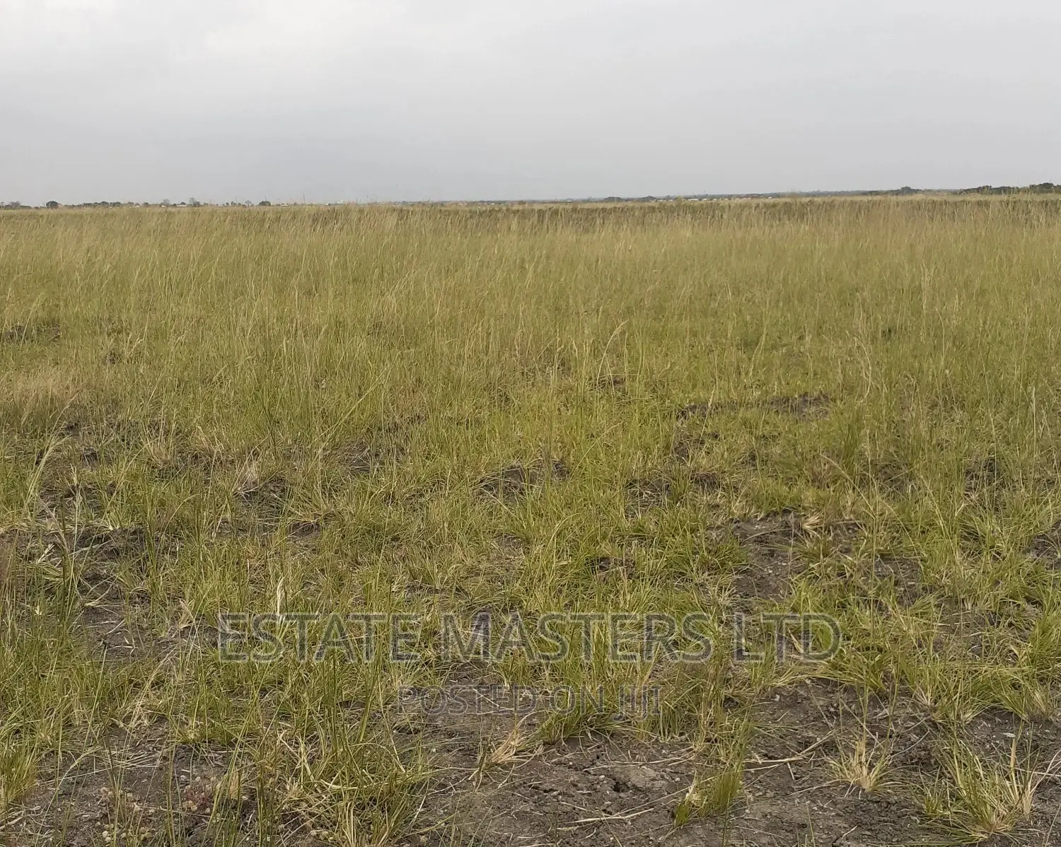 Problem Free Land on Promo