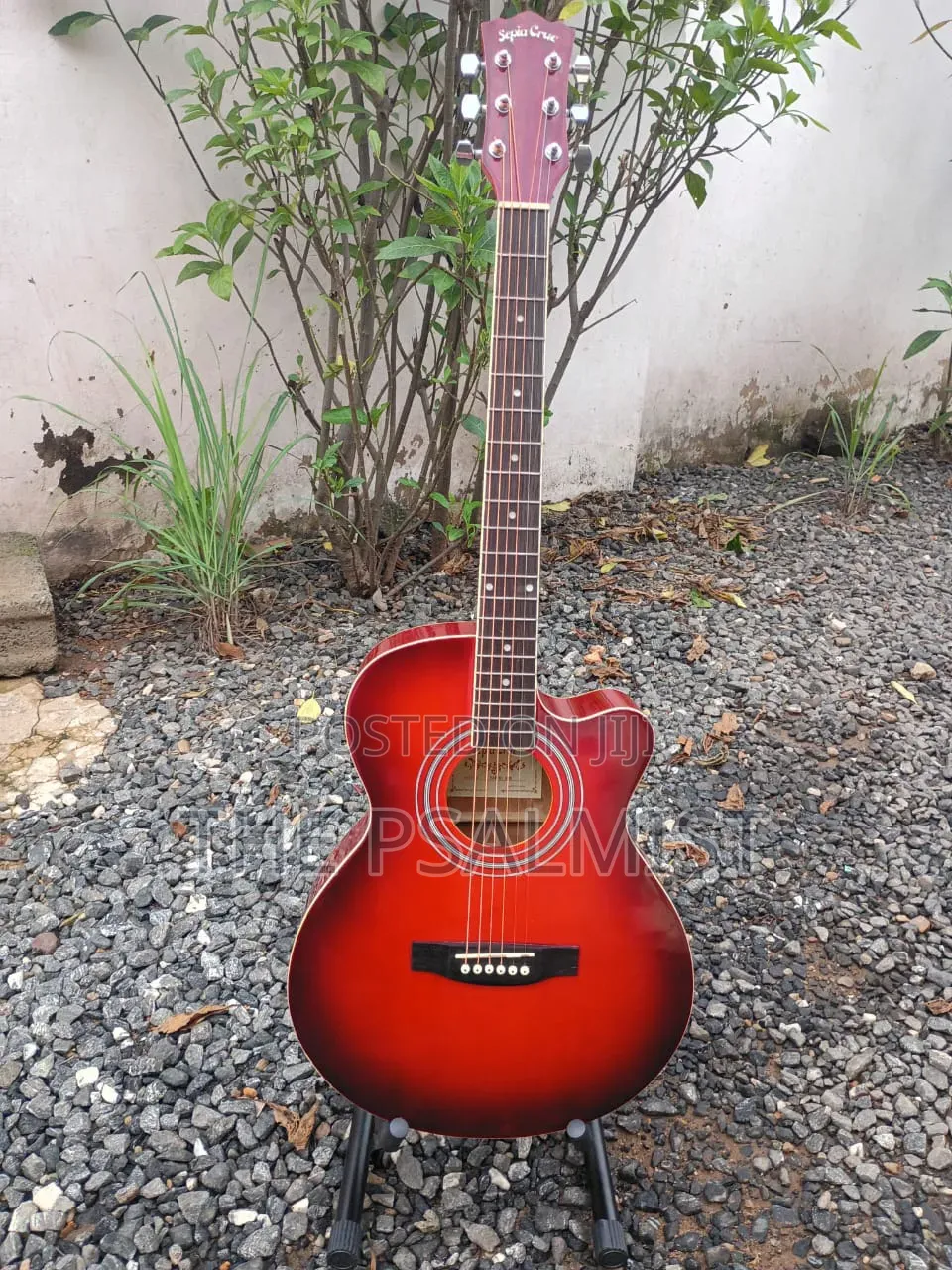 Sepia Crue Eaw-01 Rds Semi Acoustic Guitar