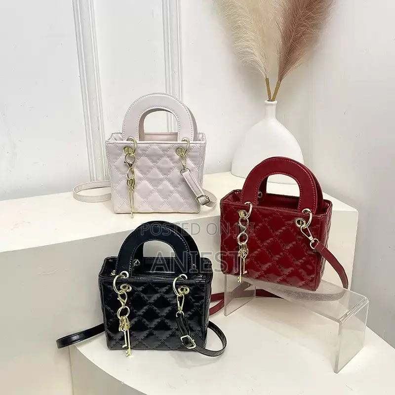 Elegant Simple Ladies Bag