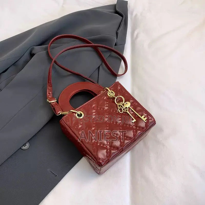 Elegant Simple Ladies Bag