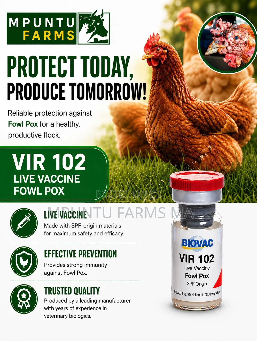 Fowl Pox Vaccine