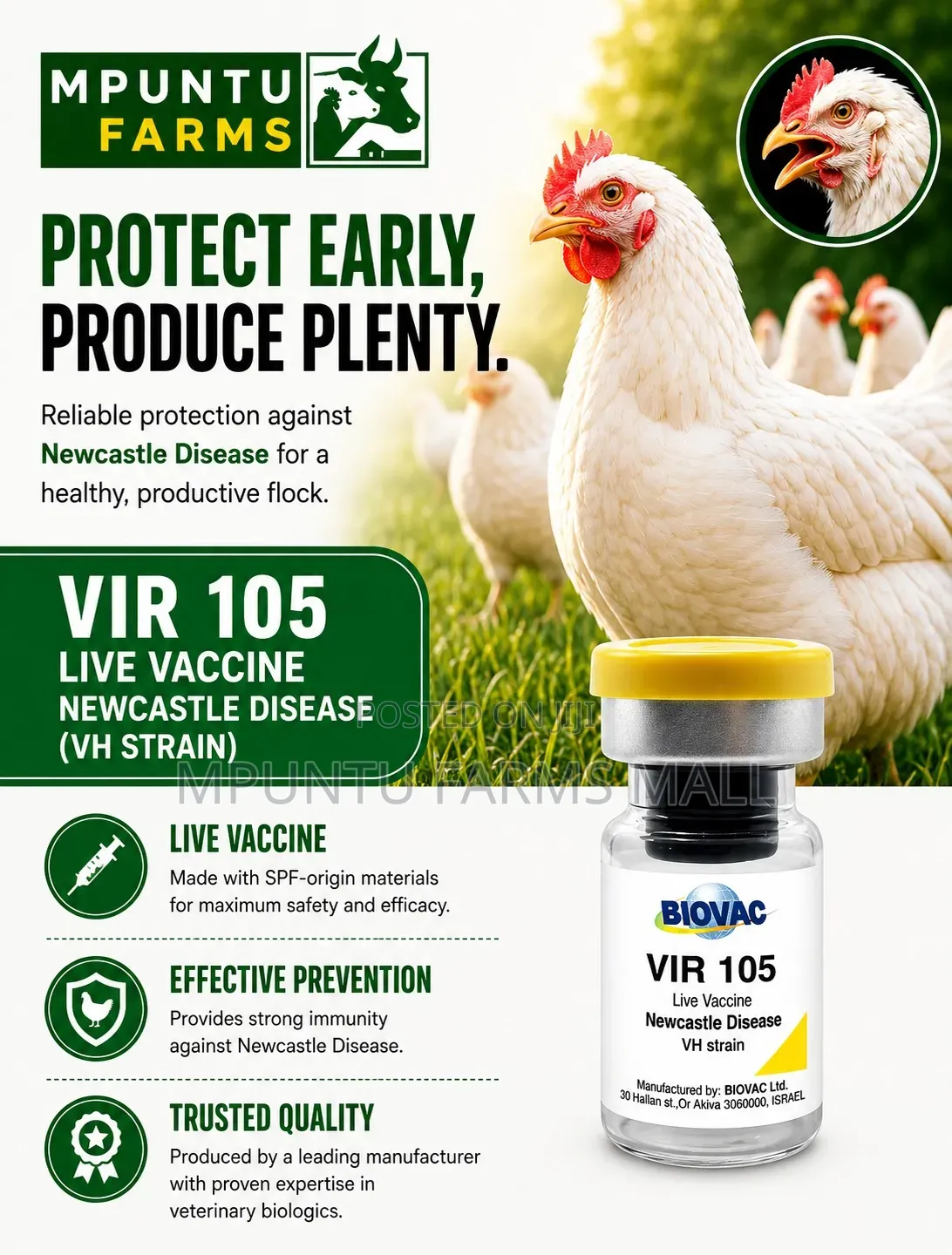 Hb1 Newcastle Vaccine
