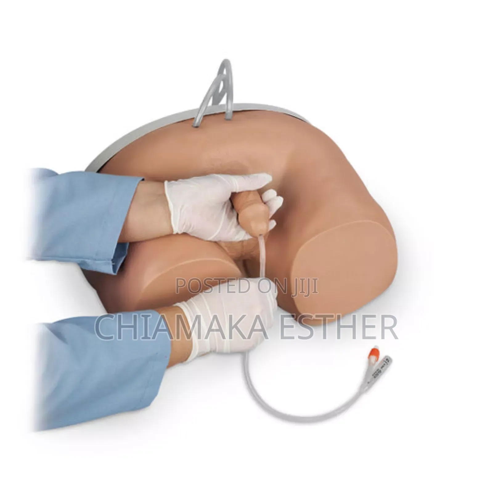 Model Catheterization Manikins Male
